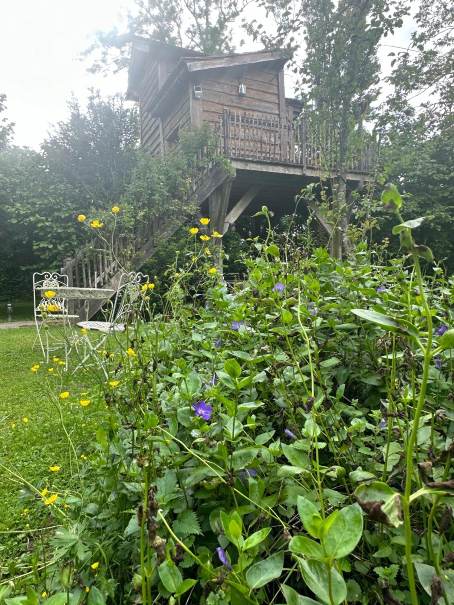Chambres d'Hôtes de la Vallée Javot Féricy Exterior foto