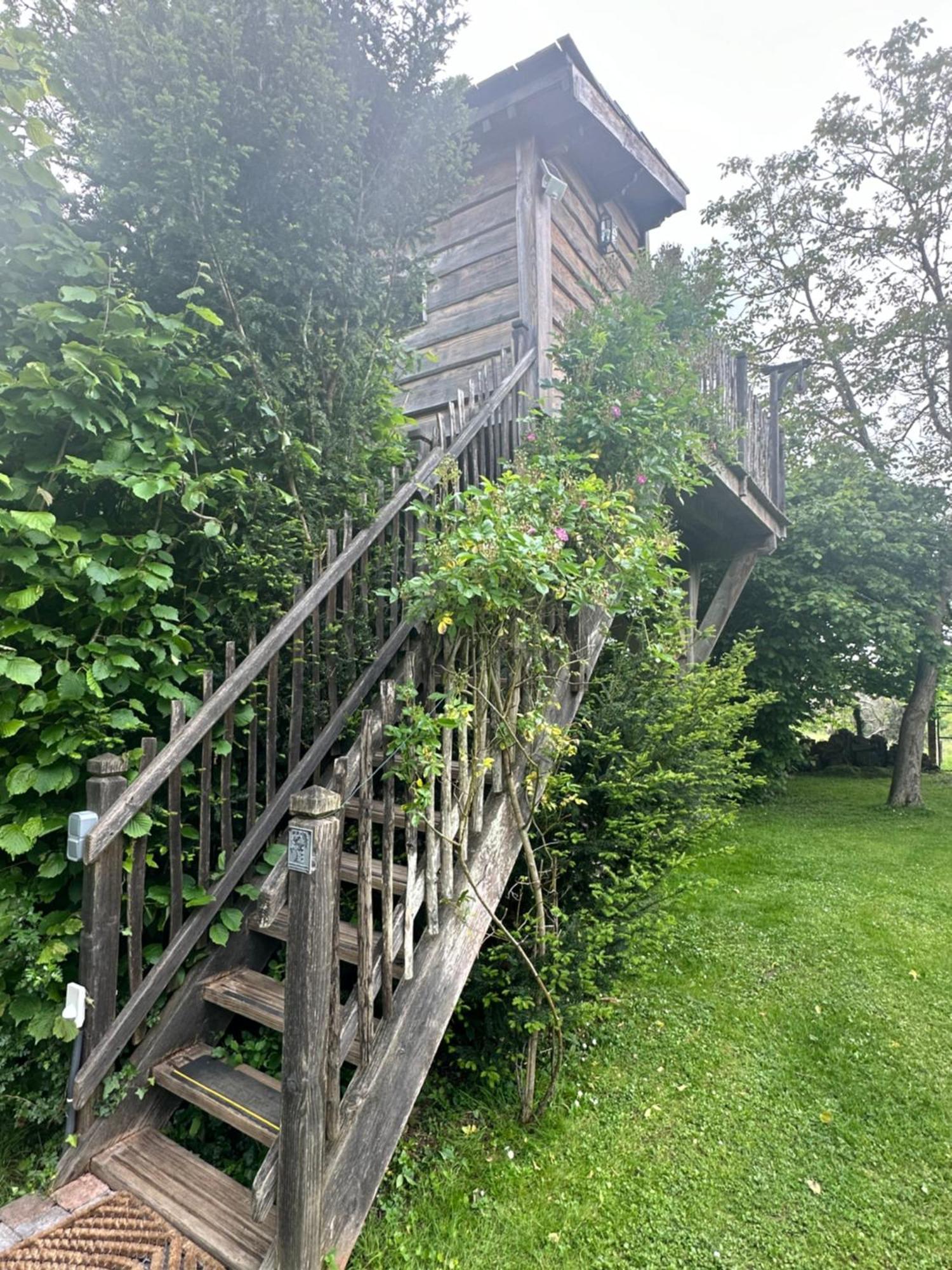 Chambres d'Hôtes de la Vallée Javot Féricy Exterior foto