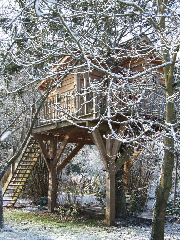 Chambres d'Hôtes de la Vallée Javot Féricy Exterior foto