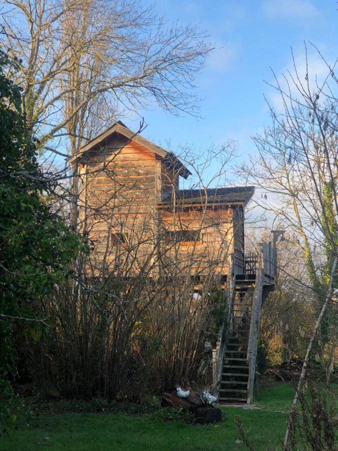 Chambres d'Hôtes de la Vallée Javot Féricy Exterior foto