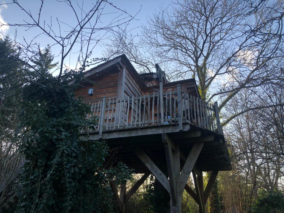 Chambres d'Hôtes de la Vallée Javot Féricy Exterior foto